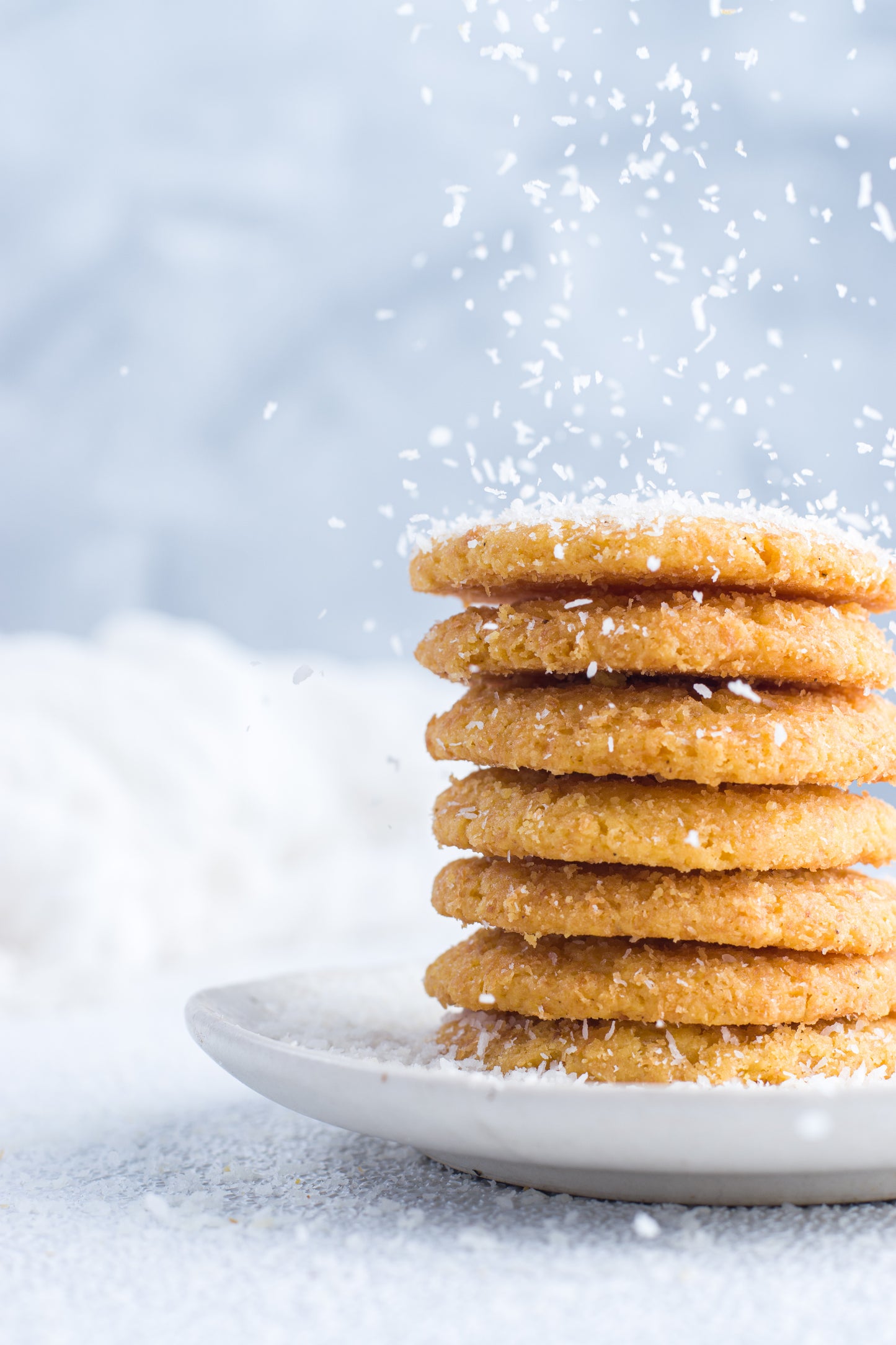 Coconut Biscuit